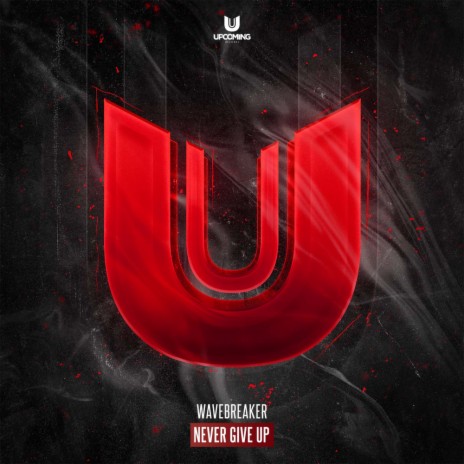 Never Give Up cover art