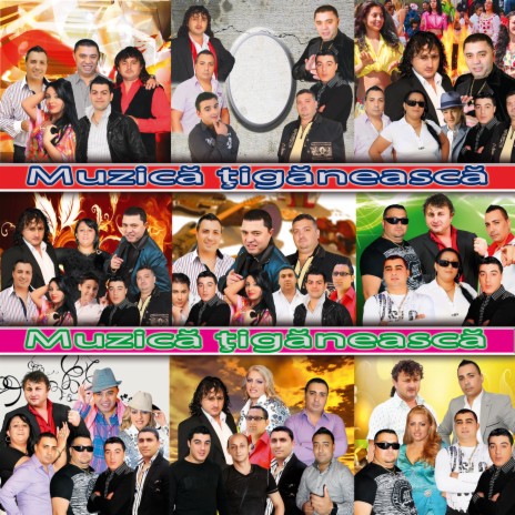 Ciocanitoarea