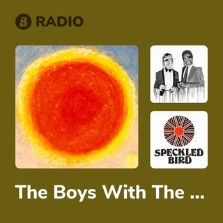 The Boys With The Perpetual Nervousness Radio