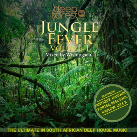 A Vintage Sunday Afternoon (Original Mix) cover art