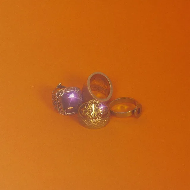 Where Have You Been, My Disco? cover art
