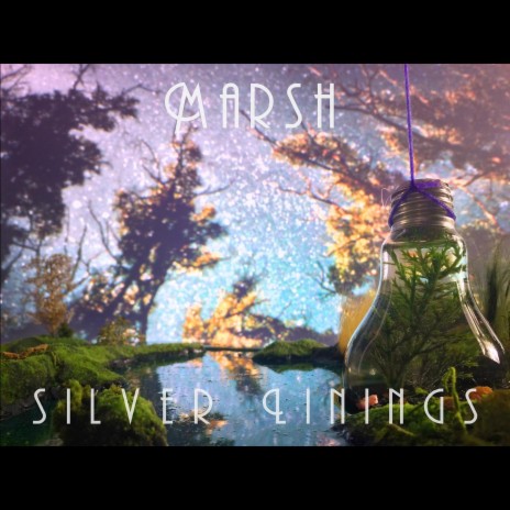 Shine