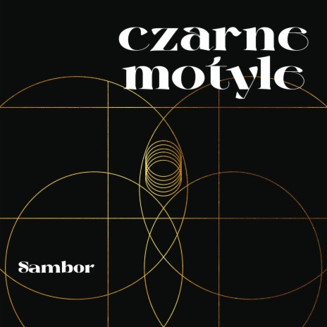 Ani na chwilę cover art