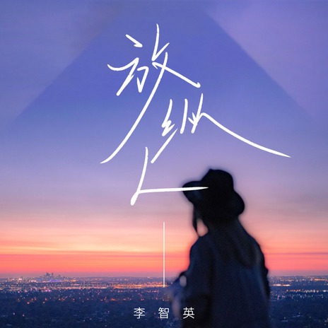 放纵L (DJ九零版伴奏) cover art