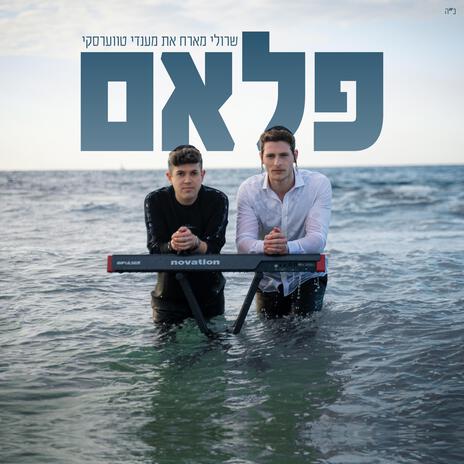 פלאם ft. Mendy Twerski cover art