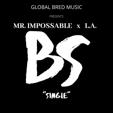 BS (Radio Mix) ft. Lex Ali cover art