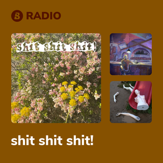 shit shit shit! Radio