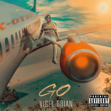 Go cover art