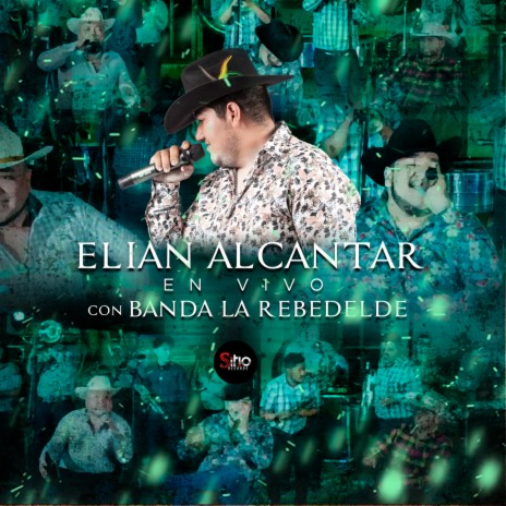 Rey de mil coronas ft. Banda La Rebelde del colesio Michoacán cover art