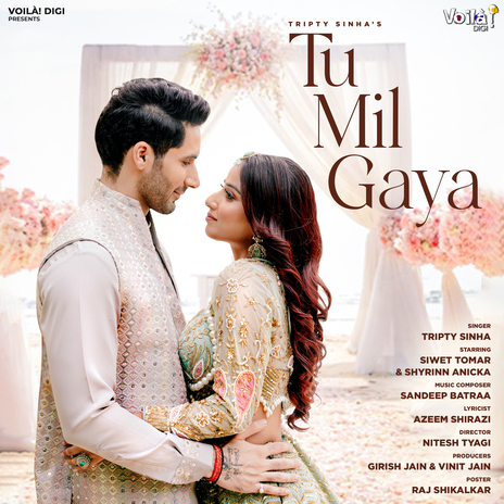 Tu Mil Gaya cover art