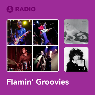 Flamin' Groovies Radio