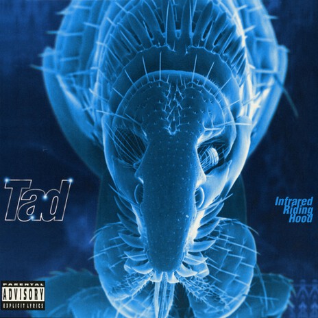 Ictus cover art