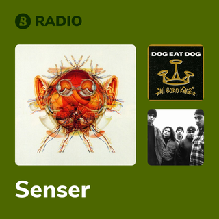 Senser Radio