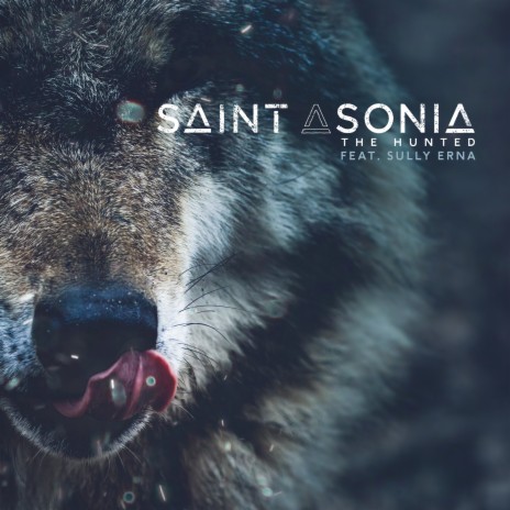 The Hunted ft. Sully Erna cover art