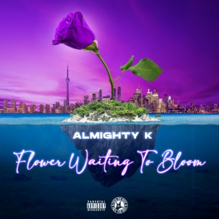 AlmightyK