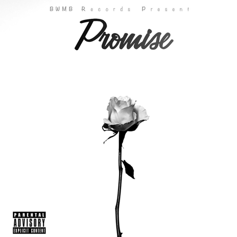Promise cover art