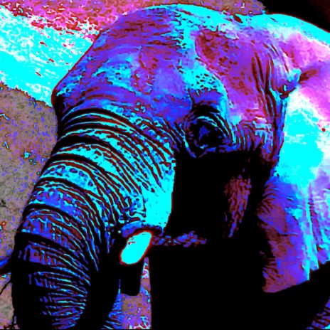 Tyke The Elephant cover art