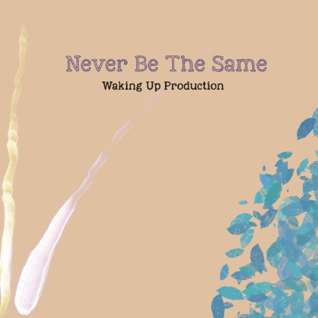 Never Be the Same