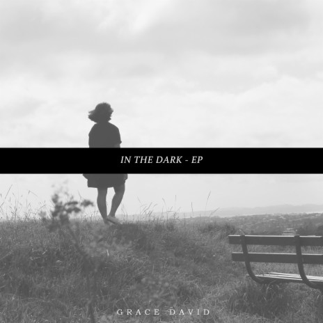 In the Dark (Instrumental) cover art