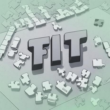 FIT cover art