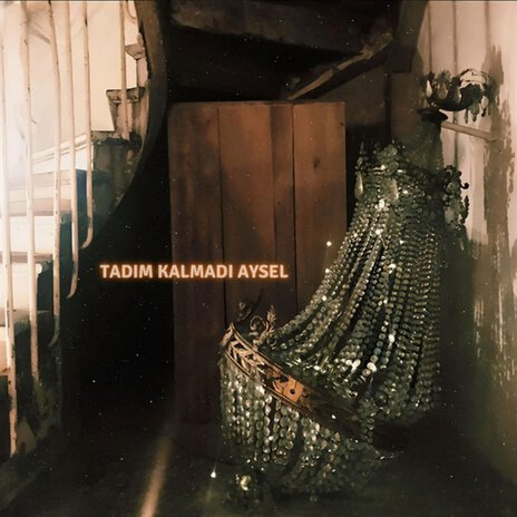 TADIM KALMADI AYSEL cover art