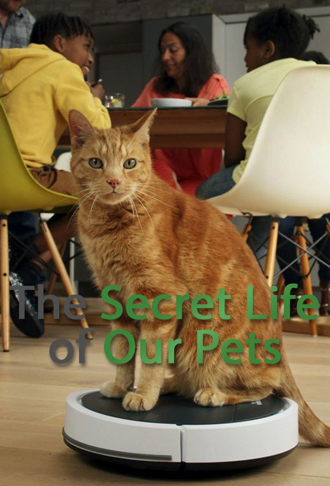 Poster The Secret Life of Our Pets