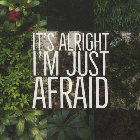 It's Alright I'm Just Afraid cover art