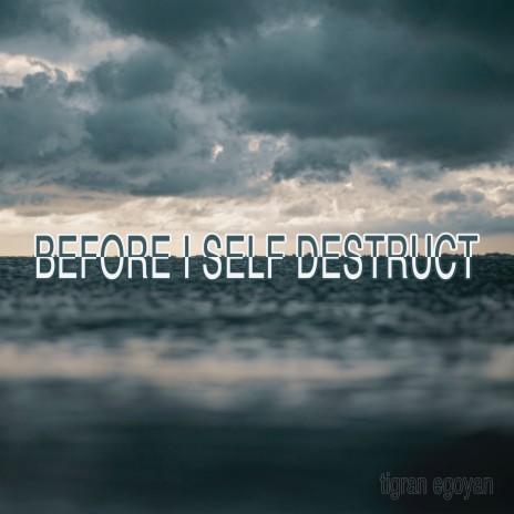 Before I Self Destruct cover art
