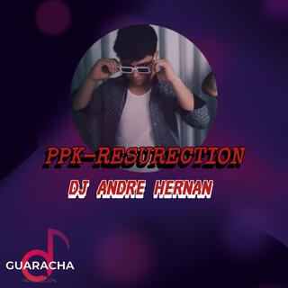 Guaracha Producción 2.0