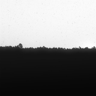 SynetX