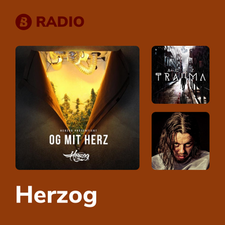 Herzog Radio