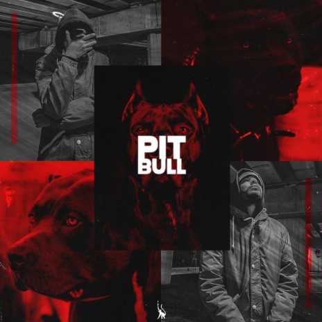 Pitbull cover art