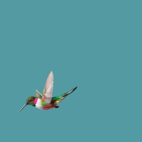 Point Of You cover art