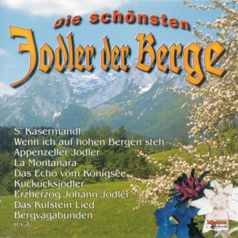 Der Lustige Hansl - Walzer cover art