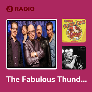 The Fabulous Thunderbirds Radio