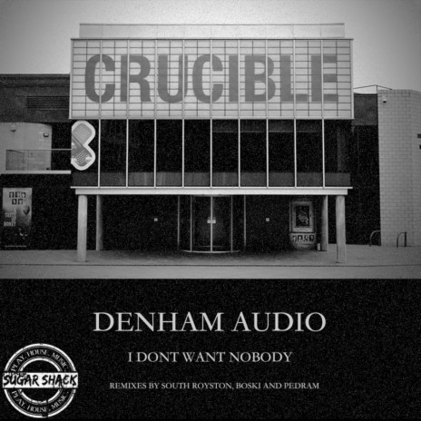 I Don't Want Nobody (Pedram Remix) cover art