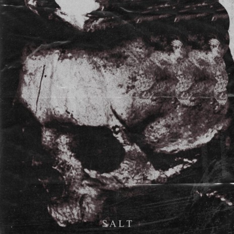 SALT ft. Ak3k cover art