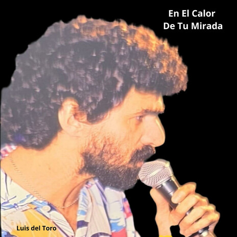 En el Calor de Tu Mirada