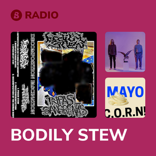 BODILY STEW Radio