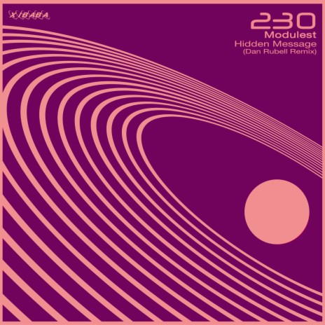 Hidden Suite (Dan Rubell Remix) cover art