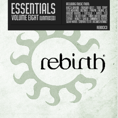 Right Now (Original Mix) (Freaks Vs Robert Owens) ft. Robert Owens cover art