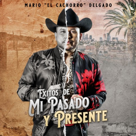 El De Zacatecas ft. Mario Delgado Jr.