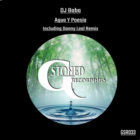 Agua Y Poesia (Danny Leal Remix) cover art