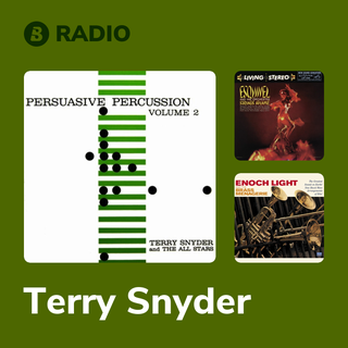 Terry Snyder Radio