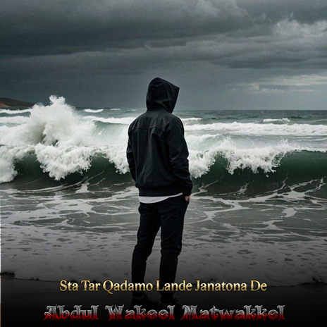 Zama Shaisto Shaisto Janan cover art