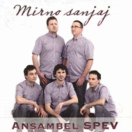 Ne Reci Nikdar cover art