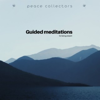 Peace Collectors