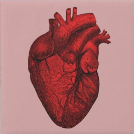 The Orbit of Love cover art