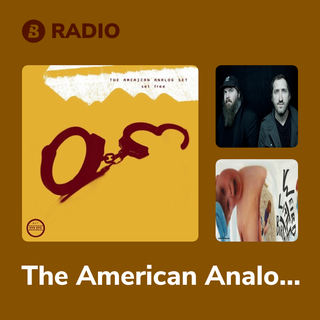 The American Analog Set Radio