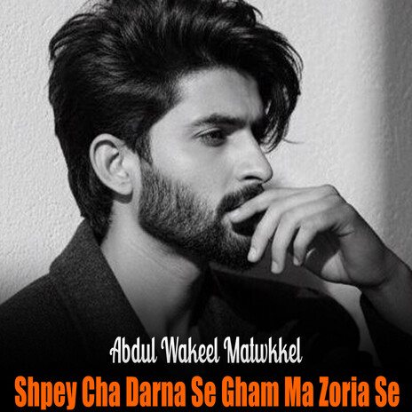 Shpey Cha Darna Se Gham Ma Zoria Se cover art
